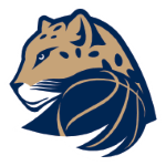 Levharti Chomutov (W)